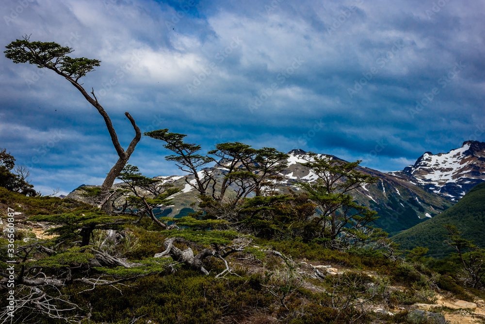 Paisagens Paisagens