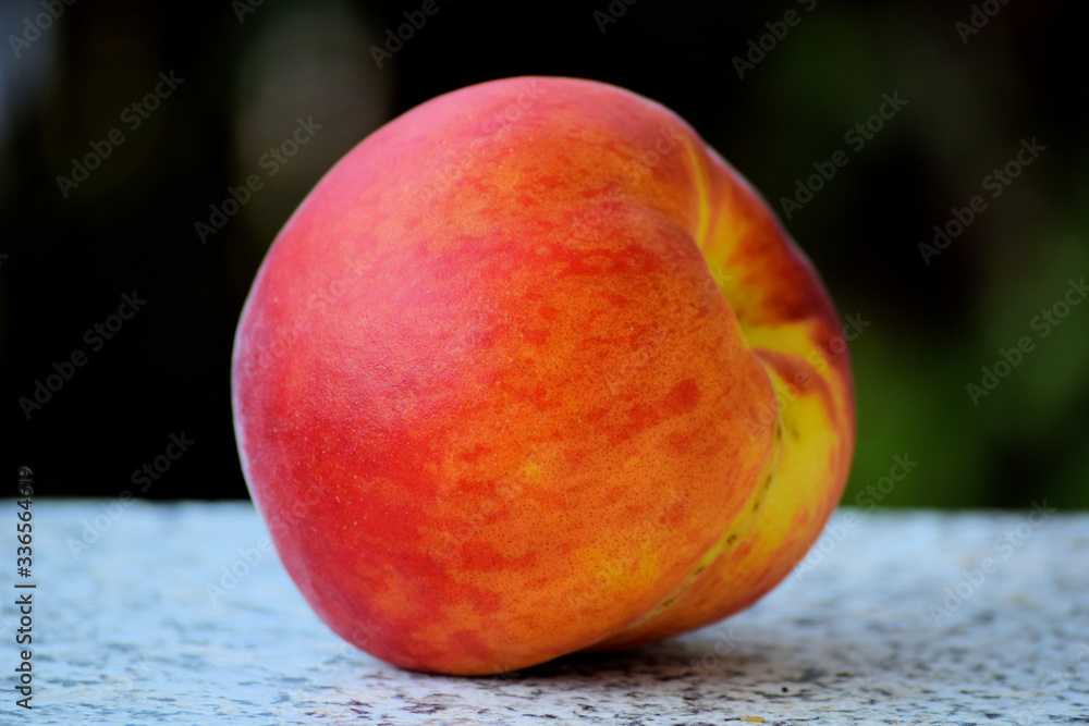 peach fruit . Side view on one red and yellow peach peach fruit . Side view on one red and yellow peach