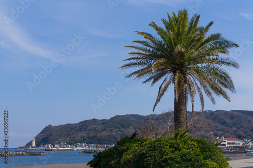 静岡県伊東市のオレンジビーチ