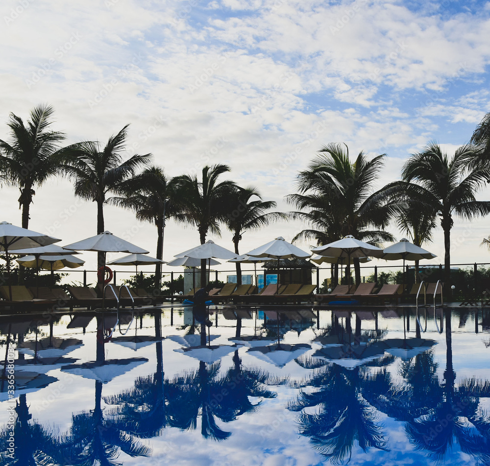 Reflection of palm trees and sky in swimming pool