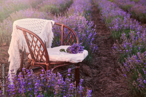 Original wedding decoration in lavender flowers. Sunset in the lavender garden, silence, peace, cozy, hygge. Rattan chair with plaid, nobody. Aromatherapy for lovers