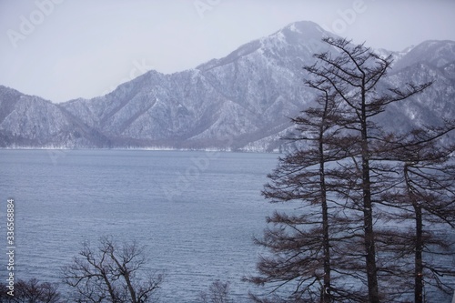 snow covered mountains
