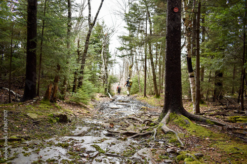 On a hike in the Catskills