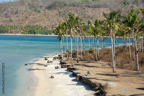 Deserted beach with palm trees, Lombok