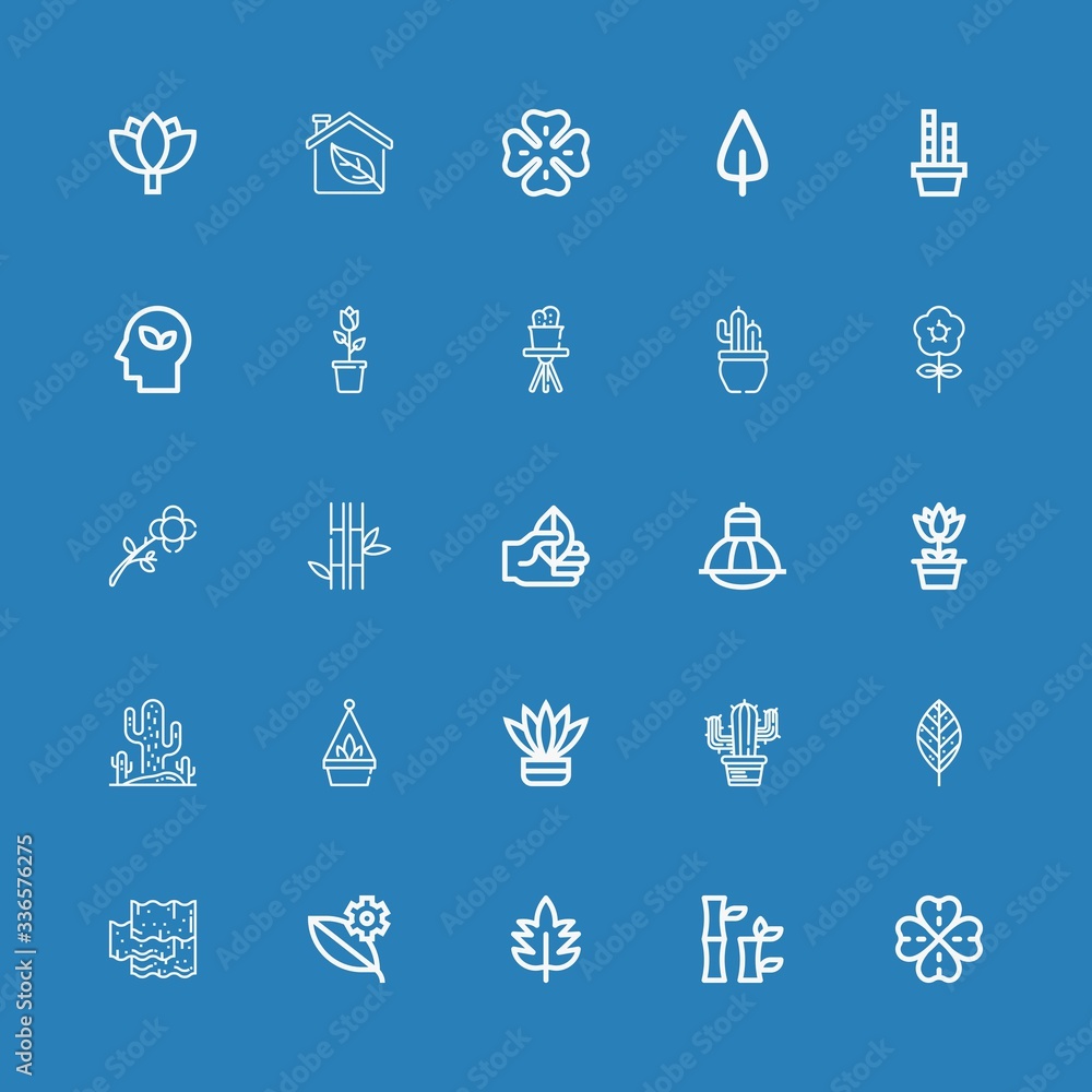 Editable 25 floral icons for web and mobile