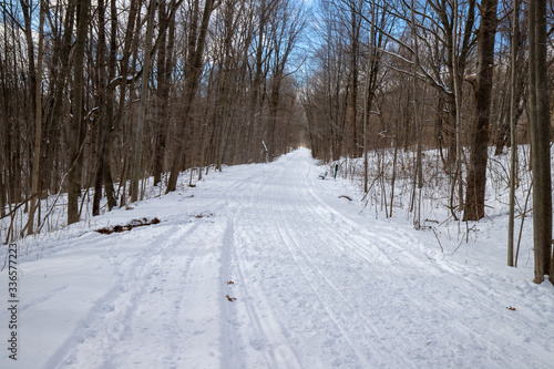 Hiking trail covered by snow winter forest landscape in Michigan