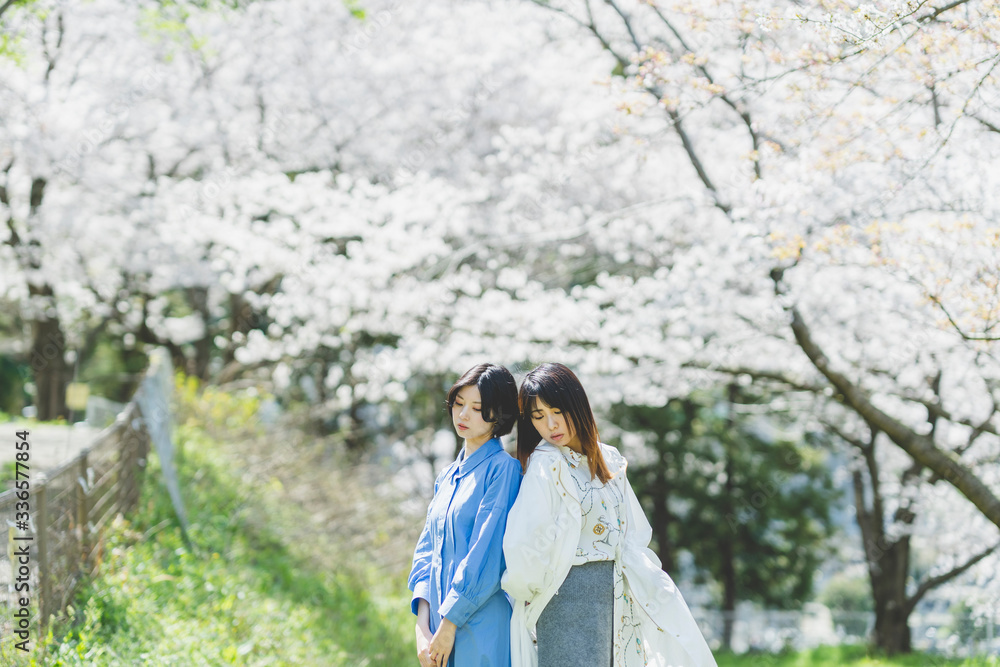 Naklejka premium 桜と女性