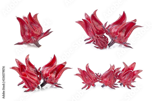 Roselle Hibiscus sabdariffa red fruit flower on white background.