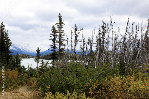 Skagway, Alaska / USA - August 10, 2019: White pass landscape view, Skagway, Alaska, USA