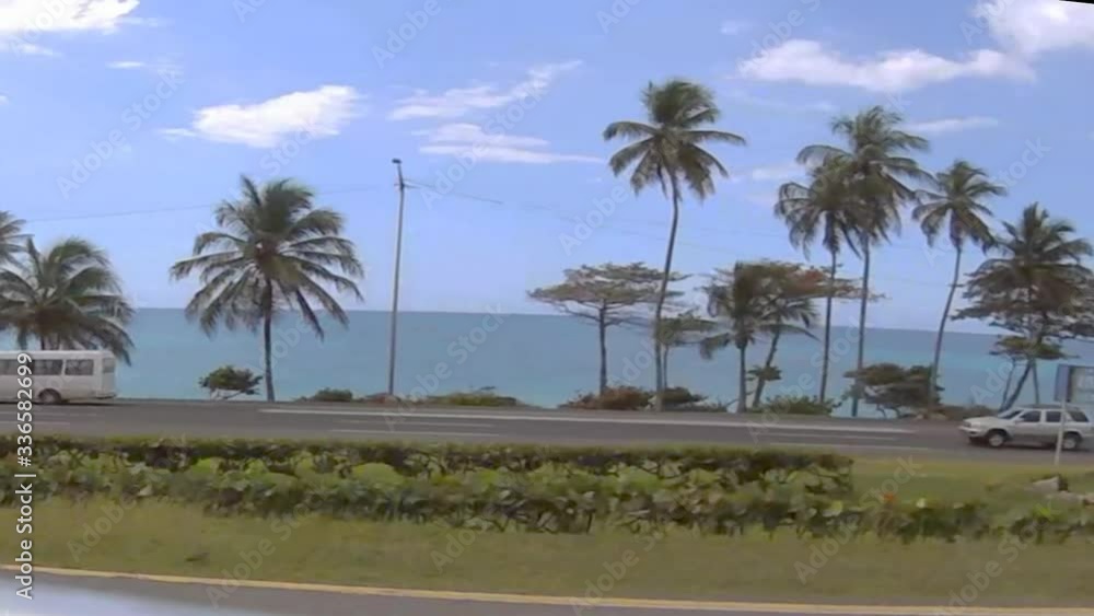 Palm trees, ocean, camera in side of the car Palm trees, ocean, camera in side of the car