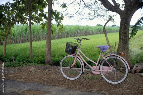 Feminine bikes are parked on rural roads