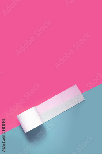 A beautiful roll of toilet paper on the plain background with outer place for adding text © Olena Kovalova