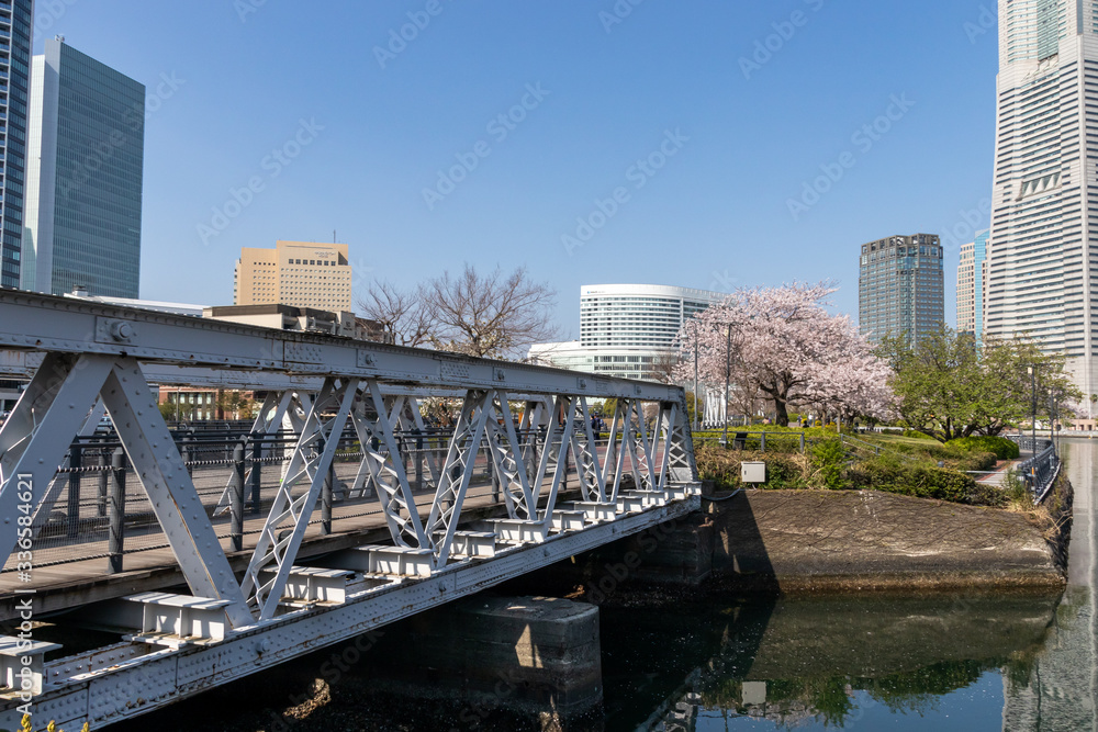 横浜ランドマークタワーと桜（撮影場所：横浜汽車道）