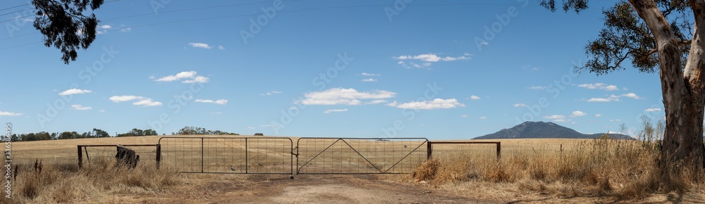 panorama of recently harvested farm fields shut off with closed farm gates framed by gum trees, with the Grampians mountains rising in the distance on the horizon, rural Victoria, Australia