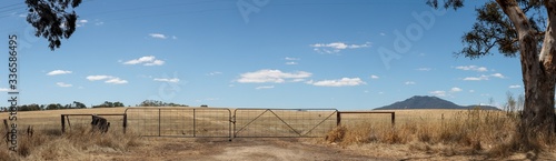 panorama of recently harvested farm fields shut off with closed farm gates framed by gum trees, with the Grampians mountains rising in the distance on the horizon, rural Victoria, Australia