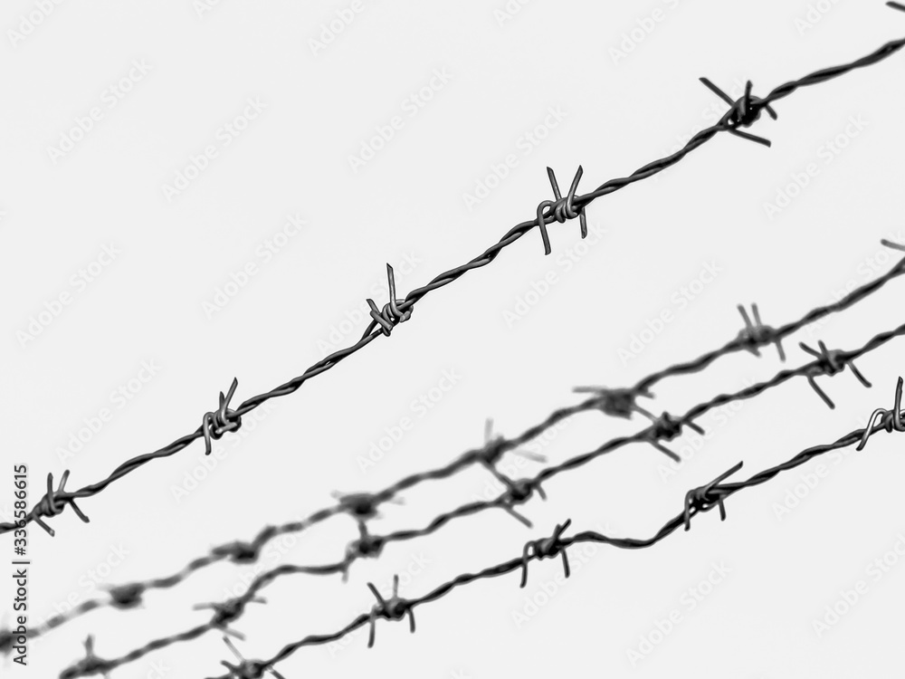 Security Fence In Prison Security Fence In Prison