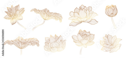 Lotus hand drawn vector set, Collection of lotus flowers for logo, luxury wedding  invitation, cover, packaging, pattern and background template.