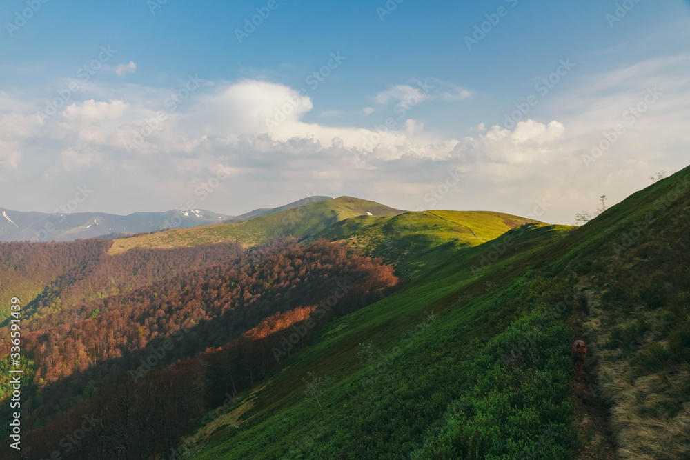 Naklejka premium Beautiful Carpathians, mountains in clouds, waterfall, close-up, the sunsets beautifully over the mountains