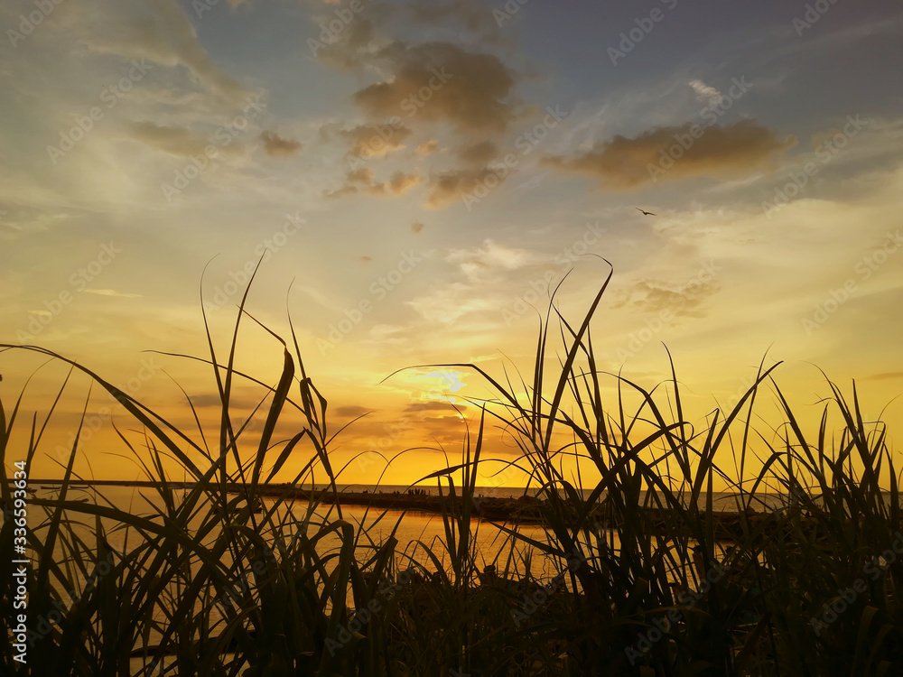 Fototapeta premium sunset