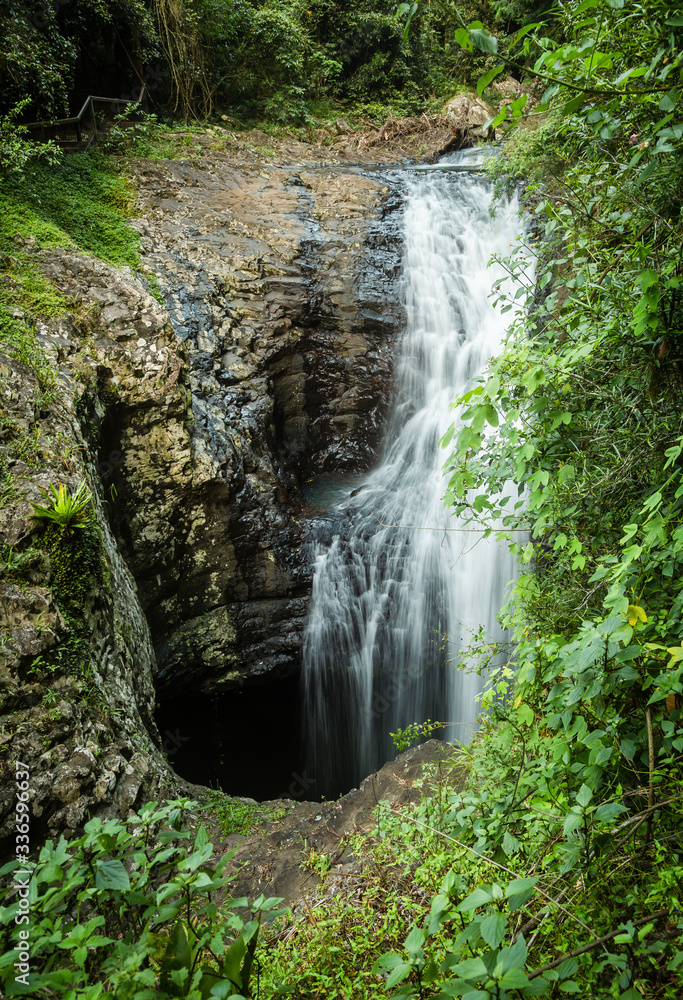 Obraz premium Waterfall into cave, Natural Bridge, Numinbah, Queensland