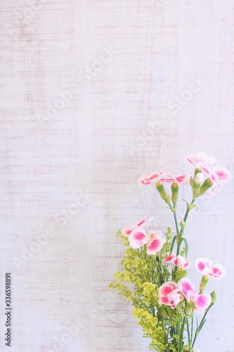 Fototapeta Naklejka Na Ścianę i Meble -  Pink and white dianthus flowers. Sweet bouquet on a white background.