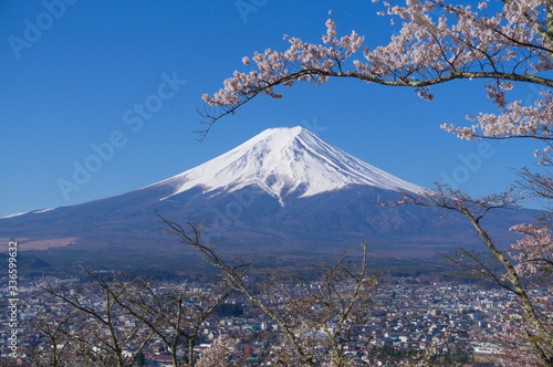 山梨県新倉山からの富士山 © kazu8