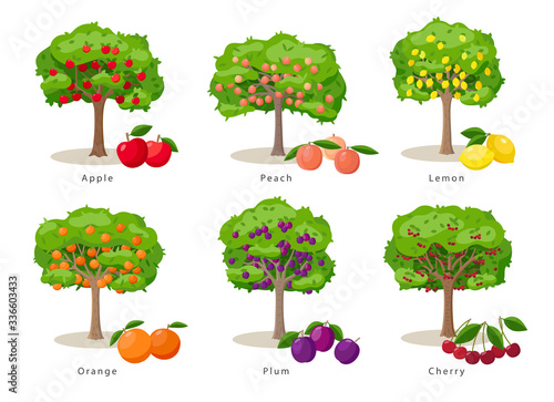 Fruit trees set of illustrations in flat cartoon gesign isolated on white background, fruit trees farm icons concept, vector infographic elements.