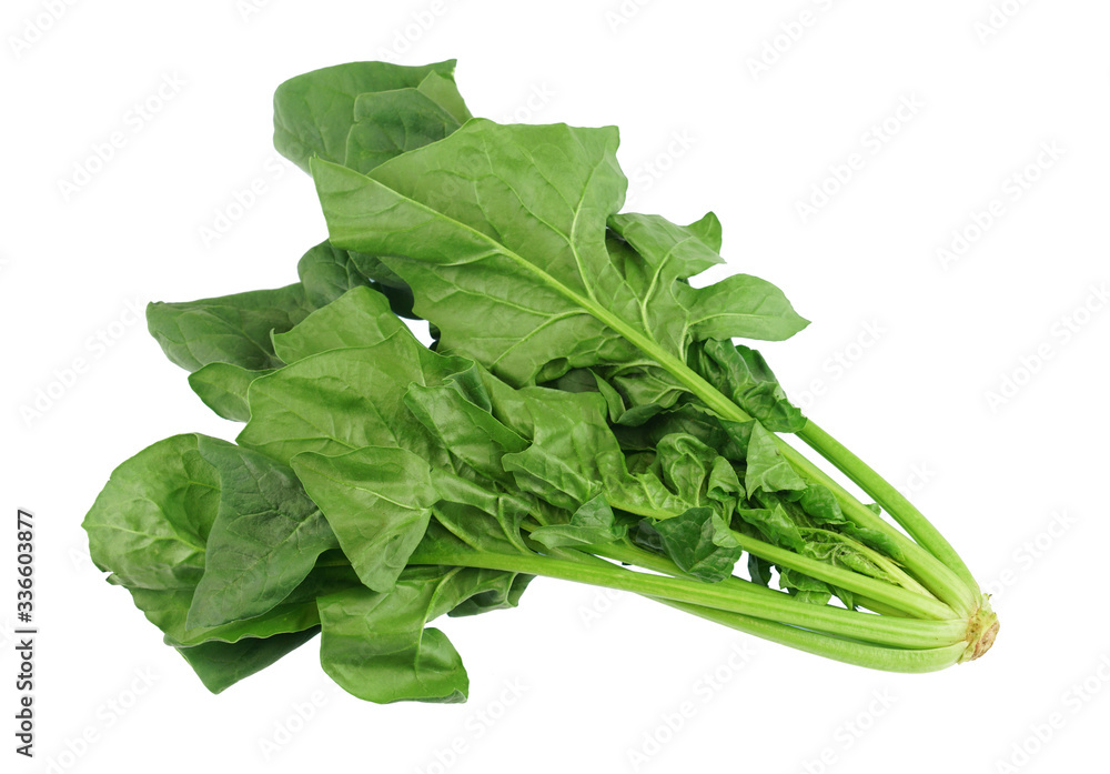 close up on fresh spinach isolated on white background close up on fresh spinach isolated on white background