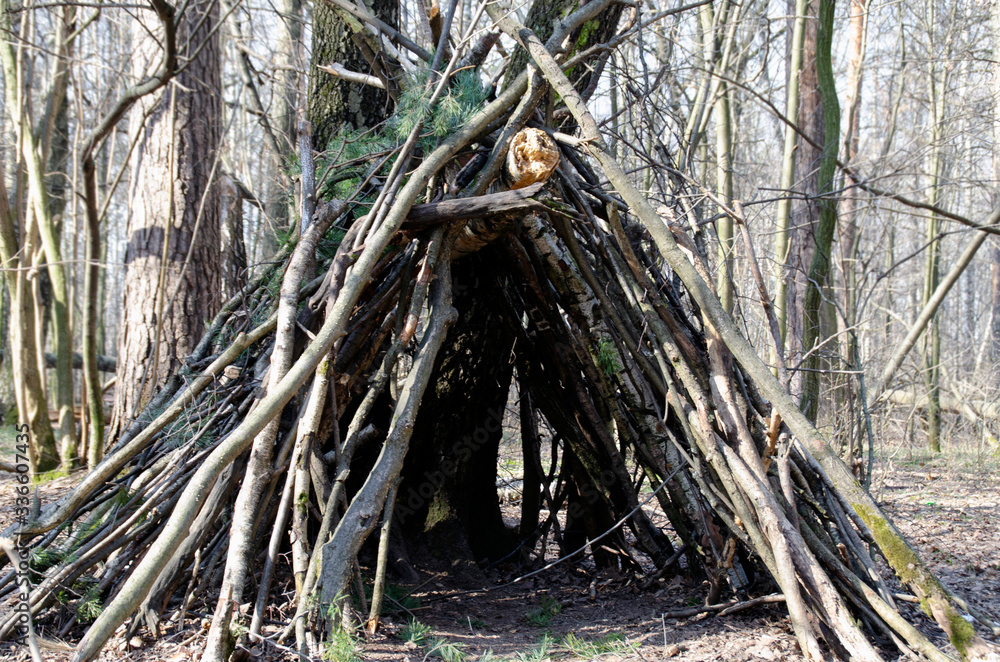 A wigwam in a forest of branches. A wigwam in a forest of branches.
