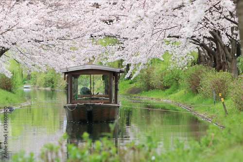 Foto 京都　伏見　船