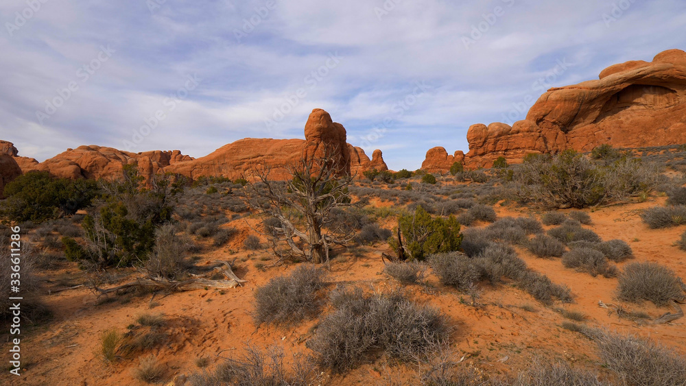 Amazing Scenery at Arches National Park in Utah - travel photography