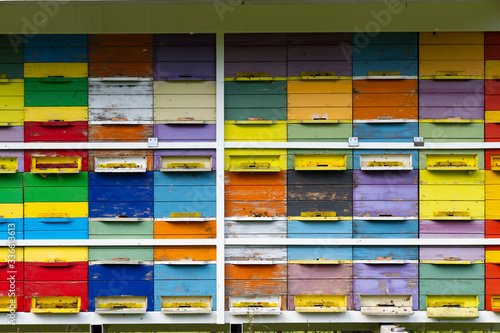 bee hive in Vipavska Dolina in Slovenia