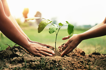 mother with children helping planting tree in nature for save earth. environment eco concept