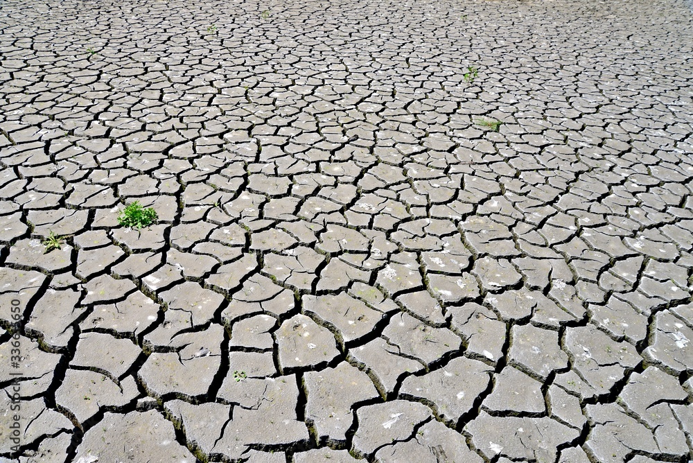 Cracked mud at the bottom of a spilled pond. Dried cracked earth. Dry summer weather. Cracked mud at the bottom of a spilled pond. Dried cracked earth. Dry summer weather.