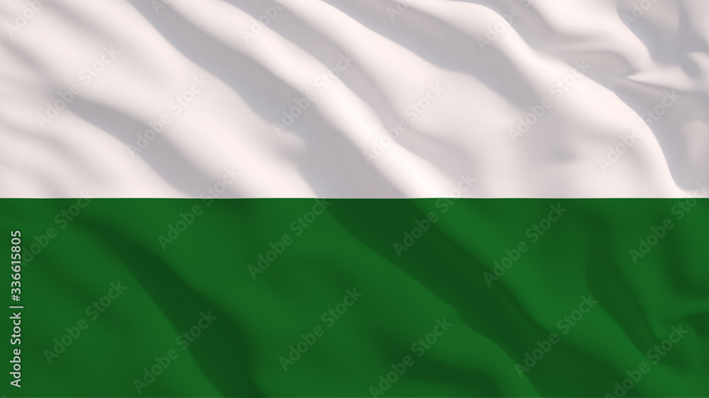 Saxony State Flag on Waving Texture