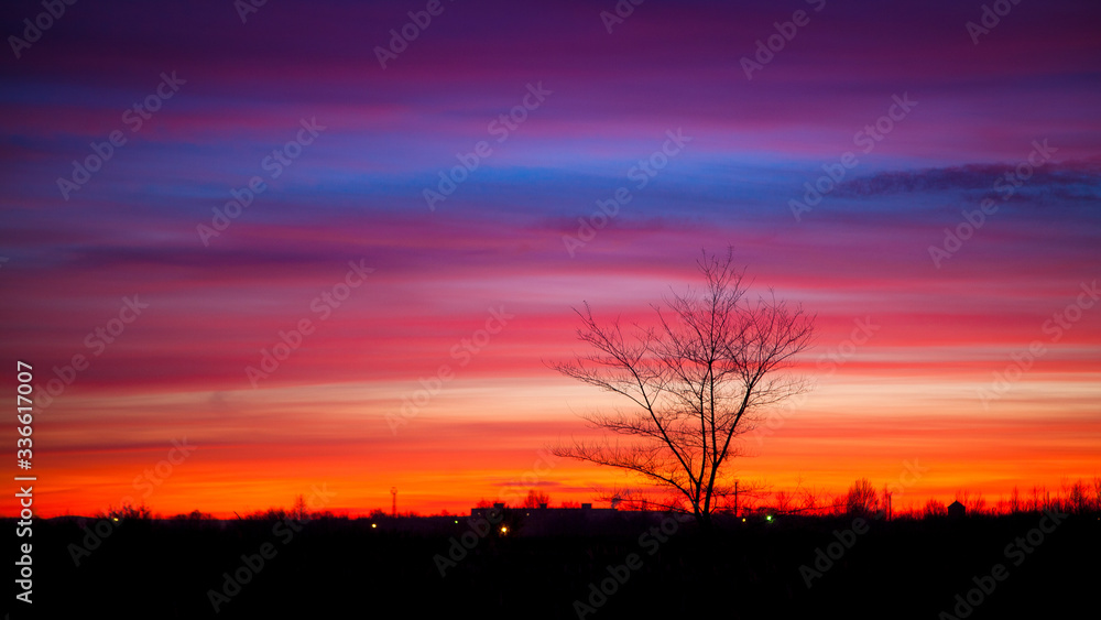 Tree on a background of fiery sunset