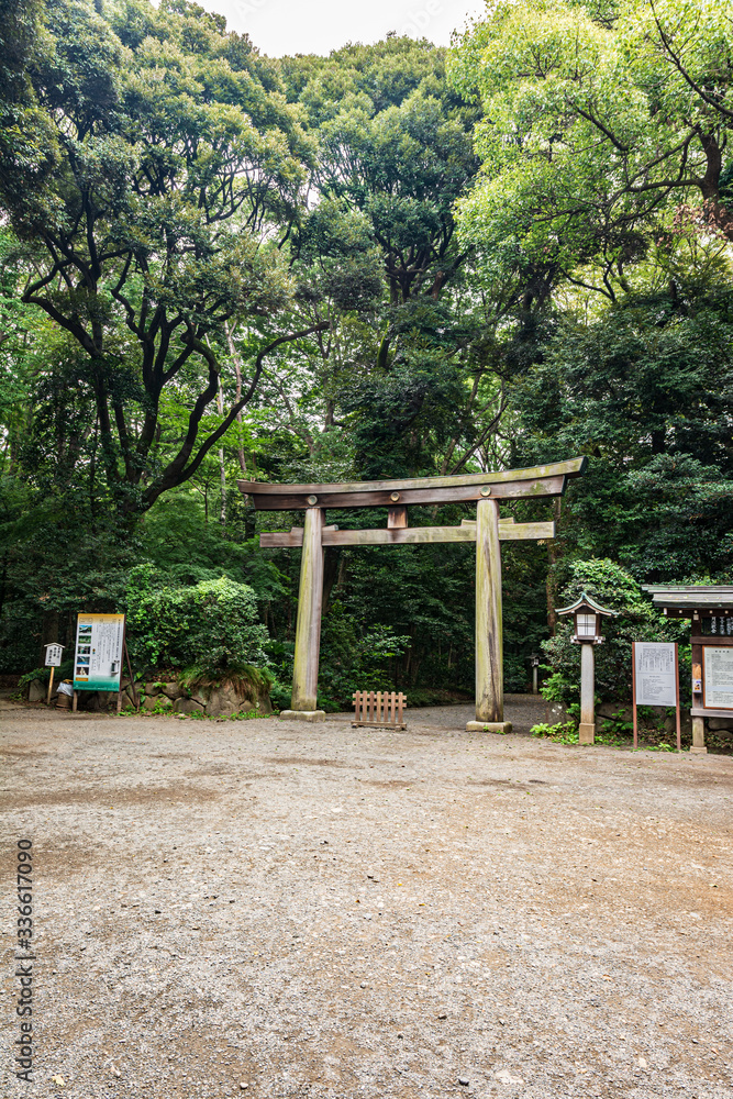 The Torii Gate at Meiji Shrine in Shibuya, Tokyo, Japan
The Torii Gate at Meiji Shrine in Shibuya, Tokyo, Japan
