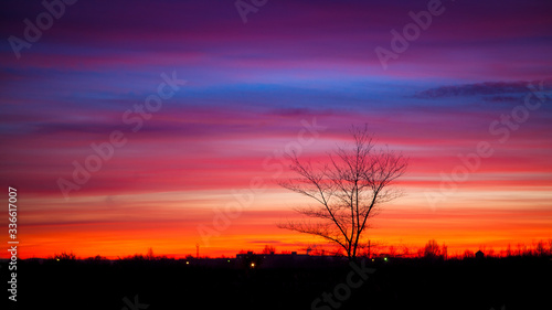Tree on a background of fiery sunset