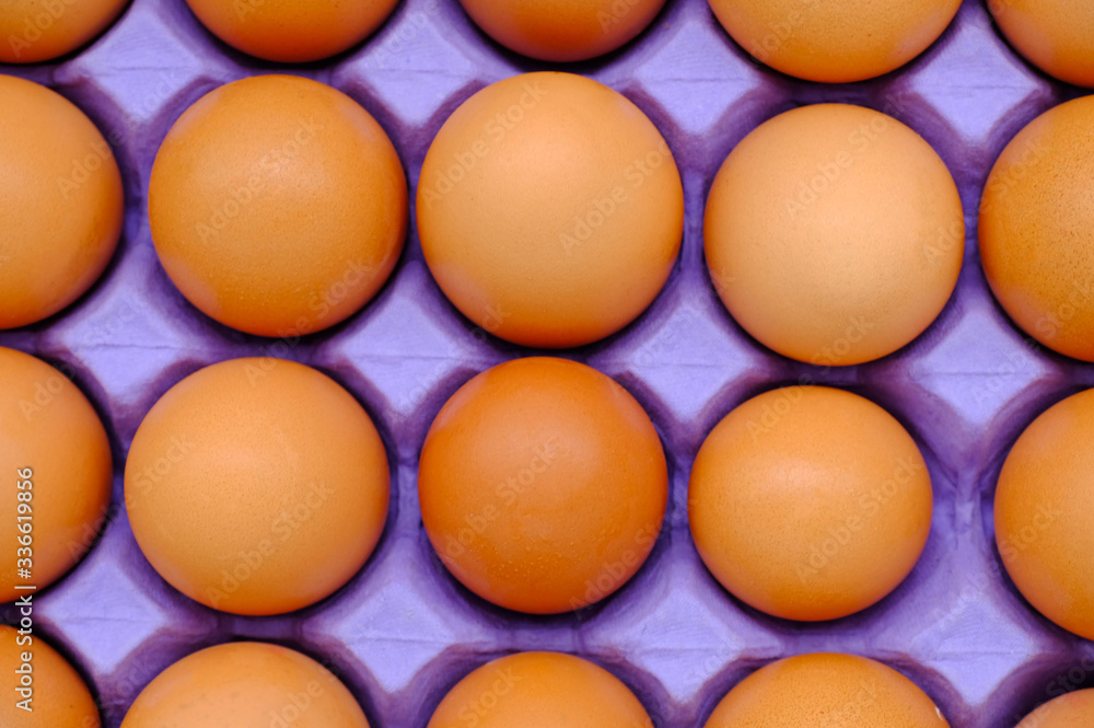 Close-up view of raw chicken eggs in egg box on white background
Close-up view of raw chicken eggs in egg box on white background