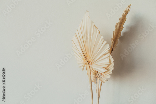 Fan leaves made of craft paper on white background. Minimal floral concept.