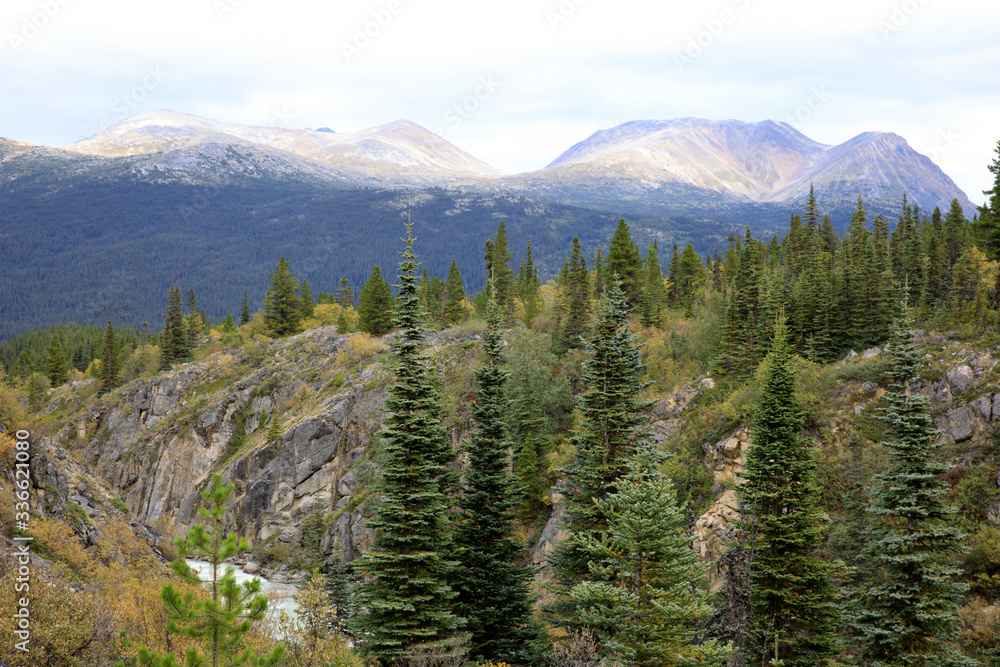 Yukon, Canada / USA - August 10, 2019: Yukon landscape, Yukon, Canada, USA Yukon, Canada / USA - August 10, 2019: Yukon landscape, Yukon, Canada, USA