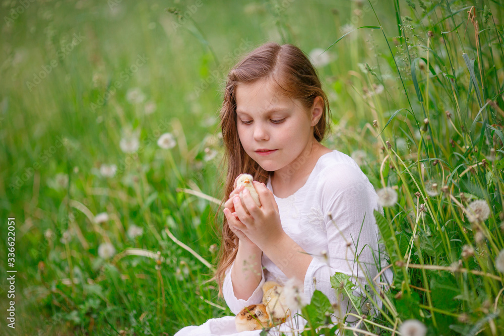 girl child holding a chicken in her hands sitting on the green grass, spring girl child holding a chicken in her hands sitting on the green grass, spring