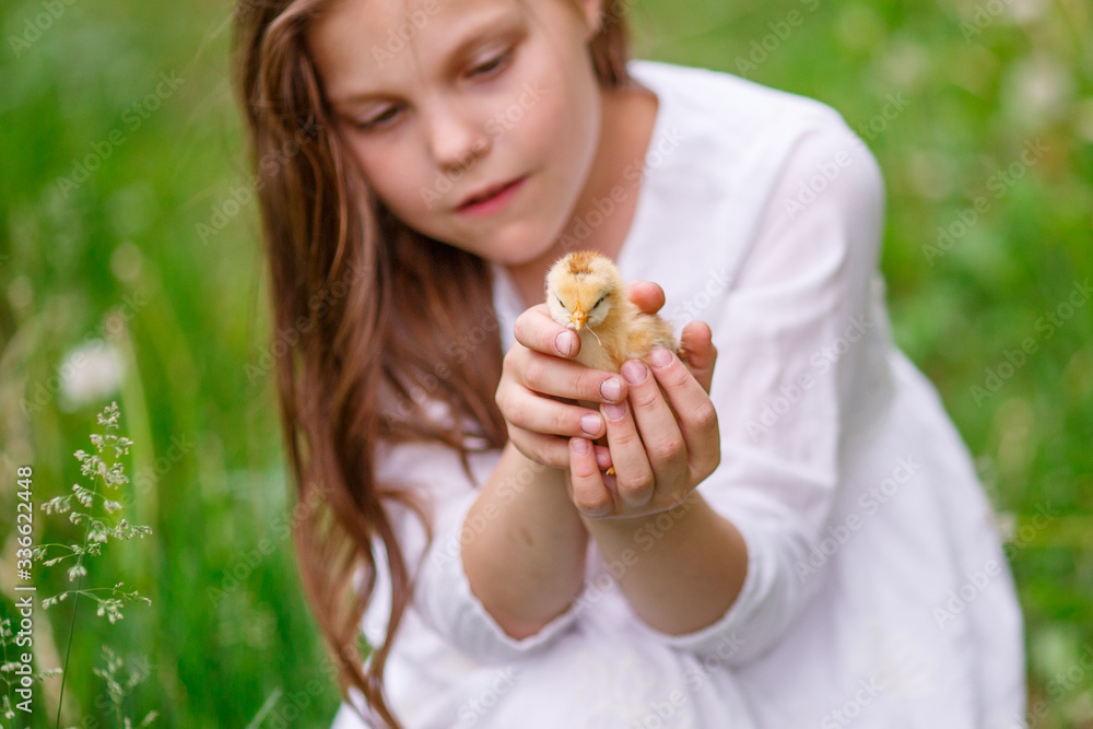 girl child holding a chicken in her hands sitting on the green grass, spring girl child holding a chicken in her hands sitting on the green grass, spring