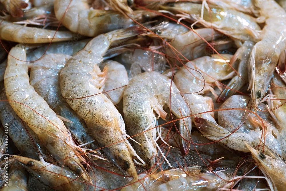 Close up of Fresh raw shrimp frozen on the ice, thai street food market Close up of Fresh raw shrimp frozen on the ice, thai street food market