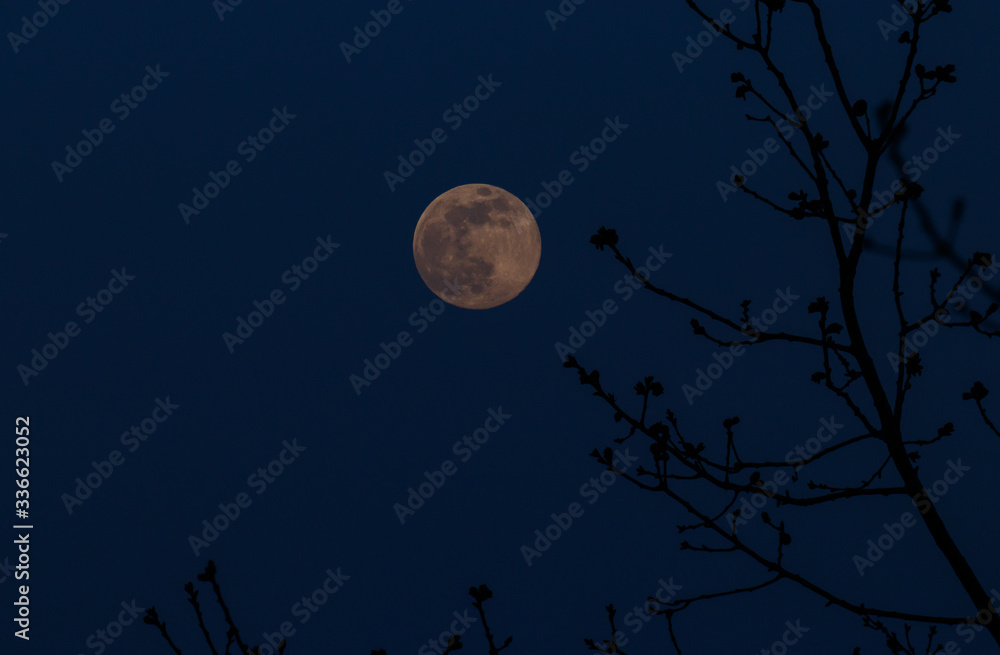 full moon over the dark blue sky full moon over the dark blue sky