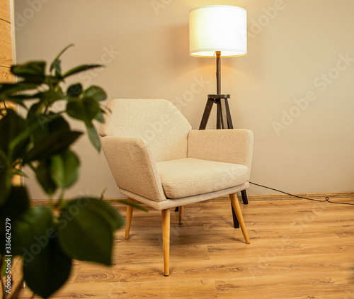 Modern living room with a comfortable armchair, floor lamp and green plant