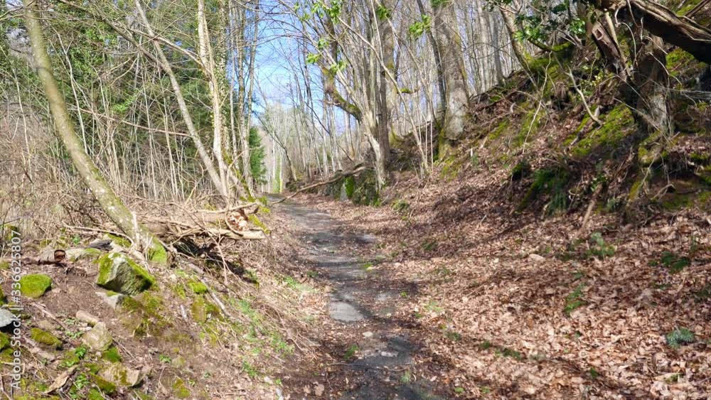 Beautiful forest path in Muhlbach-sur-Munster (Alsace, France) Beautiful forest path in Muhlbach-sur-Munster (Alsace, France)