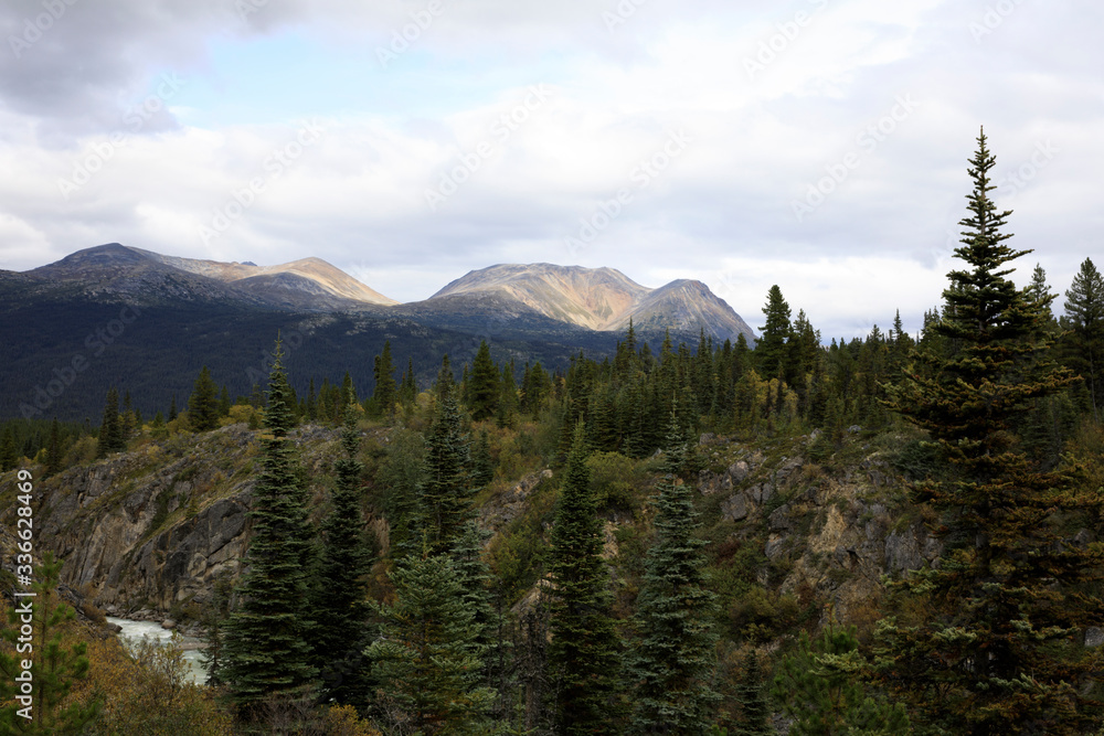 Yukon, Canada / USA - August 10, 2019: Yukon landscape, Yukon, Canada, USA