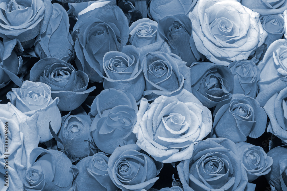 Background of bouquets of flowers. Roses. Design. Toning. Close up. Background of bouquets of flowers. Roses. Design. Toning. Close up.