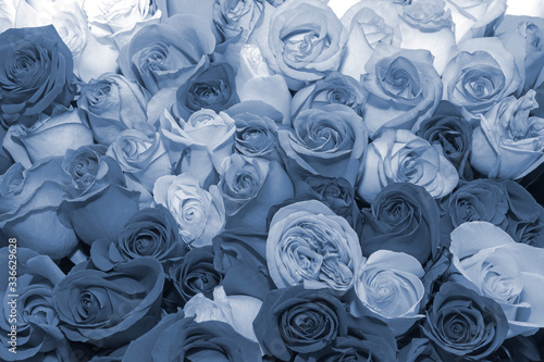 Background of bouquets of flowers. Roses. Design. Toning. Сlose up.